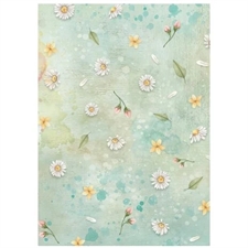 Stamperia A6 Rice Paper Backgrounds - Daisy Art